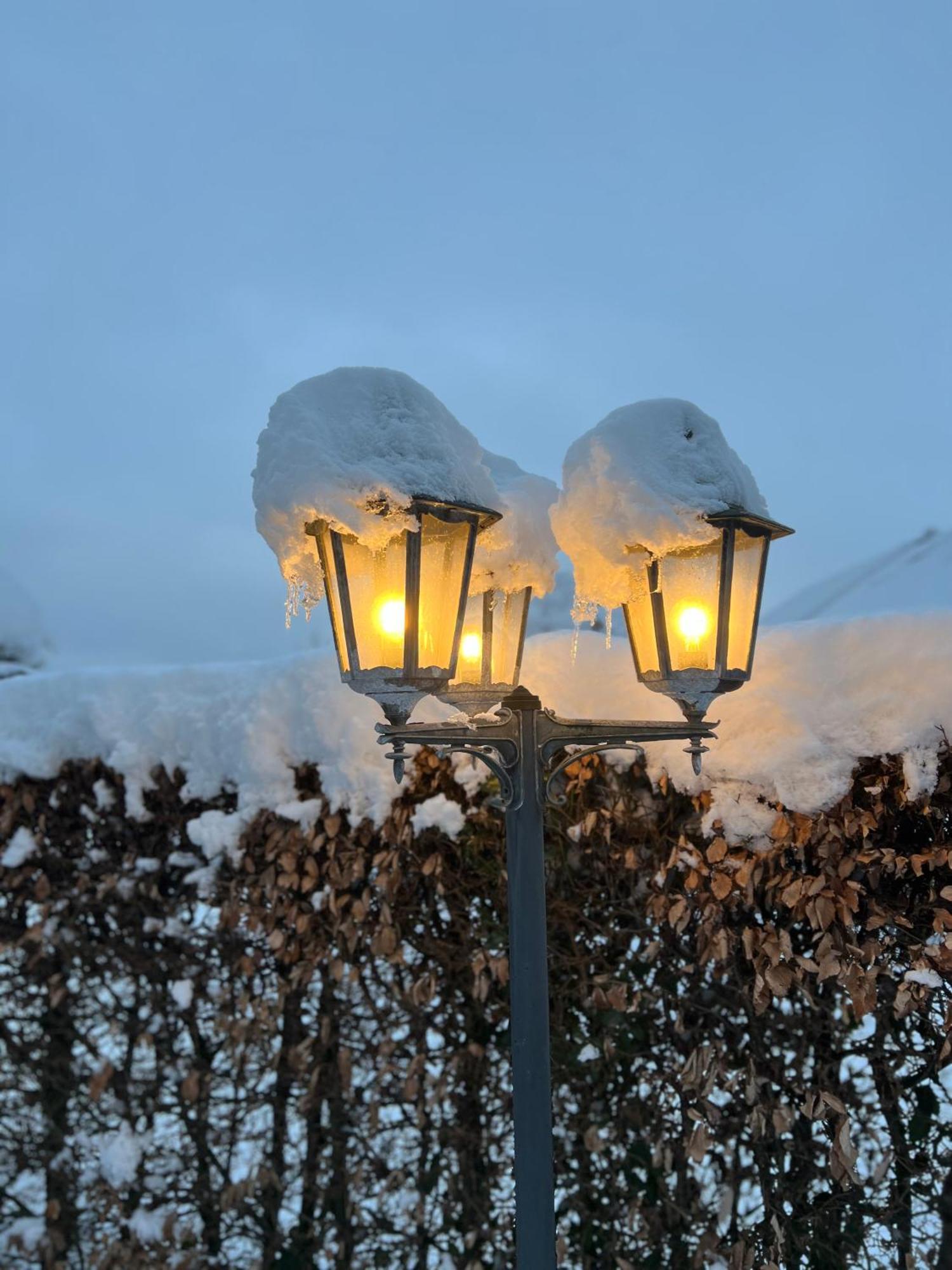 Le Teli Du Loup Dans La Taniere D'Armand Villa สเตฟโล ภายนอก รูปภาพ